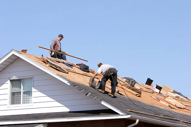 Best Roof Maintenance and Cleaning  in Strawberry Plains, TN